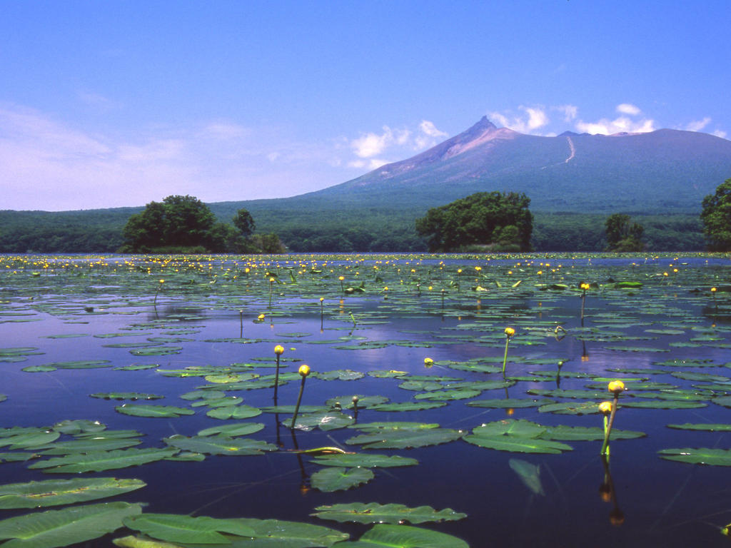 Royal Hotel Minami Hokkaido Shikabe Εξωτερικό φωτογραφία